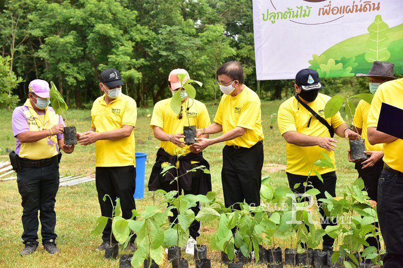 20210526-Tree planting dayt-117.JPG